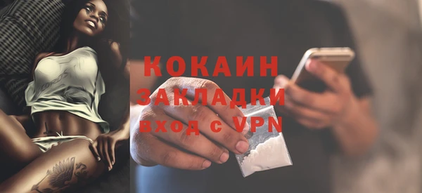 стафф Коряжма