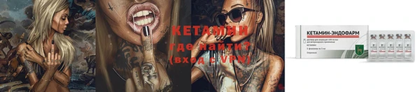 стафф Коряжма