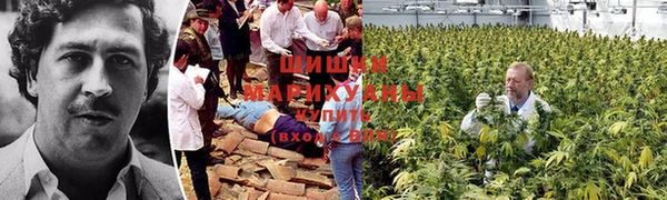 дурь Кодинск