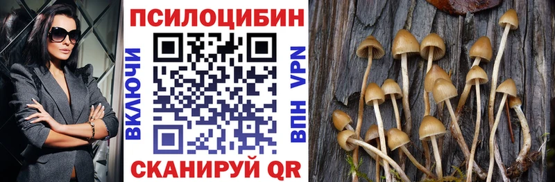Псилоцибиновые грибы Psilocybine cubensis  Теберда 